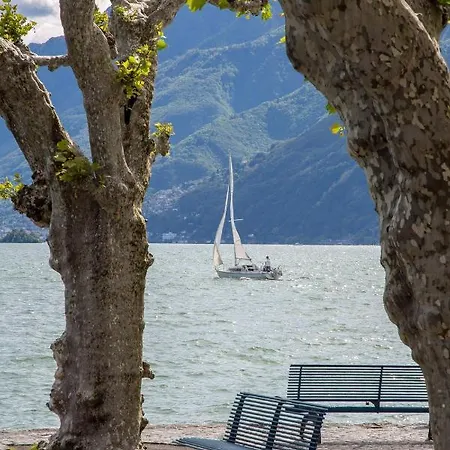 Apartament Cozy With View *